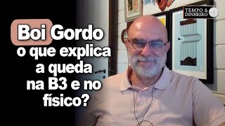 Boi gordo  o que explica a queda na B3 e no mercado físico [upl. by Lida]