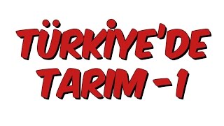 10dk da TÜRKİYEDE TARIM 1 Tonguc Akademi Talha DOGAN [upl. by Greer]