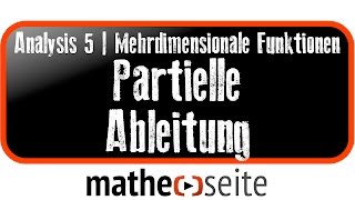 Partielle Ableitung  A5101 [upl. by Eldreeda]