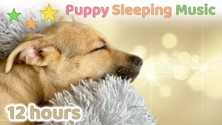 ☆ 12 HOURS ☆ Puppy Sleeping Music 🐶 ♫ Dog Sleep Music ☆ Calm Down Music ☆ Dog Anxiety Music [upl. by Prescott]