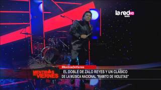 El doble de Zalo Reyes canta quotRamito de violetasquot [upl. by Asille]