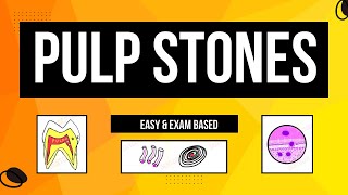 Denticles  Pulp Stones Classification  Age change in pulp [upl. by Nyladnarb]