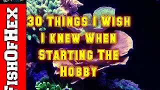 30 Things I Wish I Knew About The Saltwater Hobby When Starting Out [upl. by Aimal]