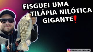 MAIOR TILÁPIA NILÓTICA QUE JA FISGUEI NA VIDA [upl. by Nahtanhoj]