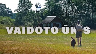 VAIDOTO ŪKIS  NAMELIS VIŠTOMS IR KITI DARBAI  34 [upl. by Skipp]