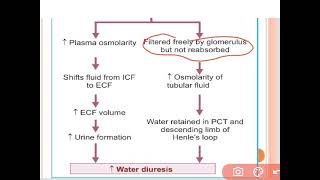 Osmotic Diuretics Mannitol in Cerebral Edema and Glaucoma [upl. by Jill]