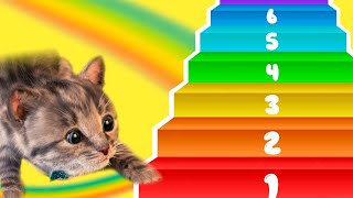 My Favorite Cat Little Kitten Adventure  Play Fun Cute Kitten Care Games For Kids Preschool [upl. by Pazice467]