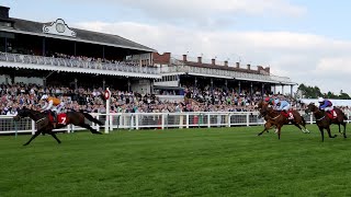 LETHAL LEVI wins the Ayr Gold Cup under Clifford Lee jockey [upl. by Crescentia]