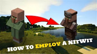 How to employ a NitWit Villager in Minecraft [upl. by Gene]