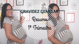 1° Trimestre GRAVIDEZ Gemelar  Medos e ansiedade [upl. by Hole]