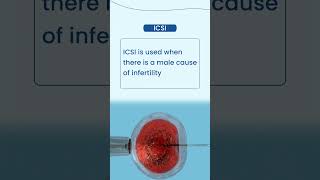 What is the difference between ICSI and IVF [upl. by Yanad379]