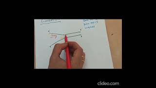 replication in prokaryotes [upl. by Avraham]