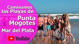 Mar del Plata  Punta Mogotes  Caminamos las Playas  Verano 2021  Todo lo que tenes que saber [upl. by Hannis110]