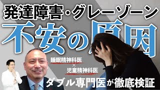 【生きづらい】発達障害・グレーゾーンはなぜいつも不安なのか？  発達障害  不安  うつ [upl. by Ontina877]