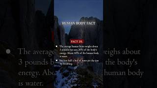 Human body fact 🔻ytshorts yt humanity [upl. by Mokas]