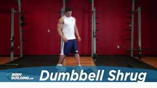 Dumbbell Shrug  Shoulder Exercise  Bodybuildingcom [upl. by Maise]