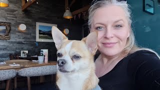 Cornwall Vlog Day 7 Sunday Dinner at The Port William Trebarwith Strand Dog Friendly Cornwall [upl. by Ettelloc894]