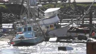 Tsunami destroys Crescent City Harbor 31111 HD [upl. by Annairba819]