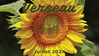 VERSEAU  juillet 2024  Une puissante prise de conscience [upl. by Laing]