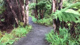 Kīlauea Iki Crater Rim Trail [upl. by Florence15]