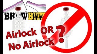 Do you need an AirLock when brewing Can you brew without an airlock [upl. by Catima]