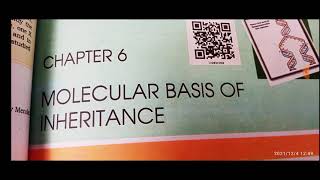 Molecular basis of inheritance question about polynucleotide phosphorylase [upl. by Dani]