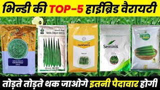 Bhindi की टॉप  5 Vatiety  bhindi ki new hybrid variety  Okra seeds bhindi ki kheti [upl. by Lindly181]