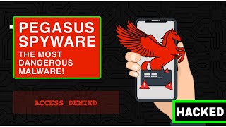 What Is PEGASUS SPYWARE ⚠️🔥  explained in HINDI [upl. by Jorie348]