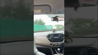 Long Drive🤣 trending funny comedy hillstation shorts viralvideos travel viralreels india [upl. by Zephan]