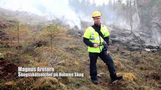 Skogsbrand för bättre naturvård [upl. by Schaab]