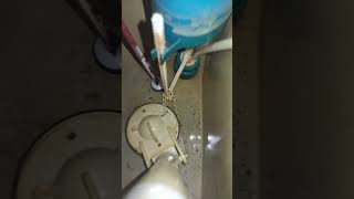 How To fix A leaking Toilet Tank  Toilet Tank Repair  Replaced Rusted Broken Toilet bolts [upl. by Assilla]