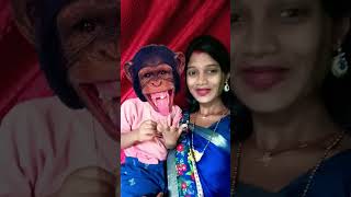 Bandar mama pahan pajama dawat 🐒🐒🐒viral monkey [upl. by Anuait]