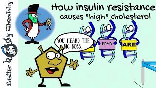 How insulin resistance leads to high cholesterol [upl. by Aititel]