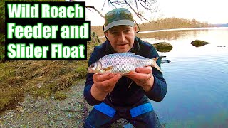 Fishing Big waters For Big Roach  Feeder and Slider Float Fishing Scotland UK [upl. by Iives586]