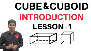 Cube amp Cuboid  Introduction  Lesson1 [upl. by Herrah852]