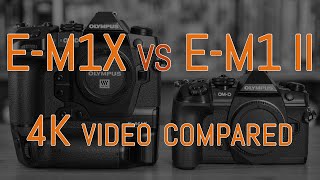 Olympus OMD EM1X vs EM1 II  4K Video Comparison with commentary [upl. by Stalder]