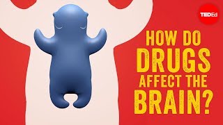 How do drugs affect the brain  Sara Garofalo [upl. by Laina354]