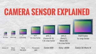 Camera Sensor Size Explained  Episode 02 learnphotography camerasensor [upl. by Auqenat603]