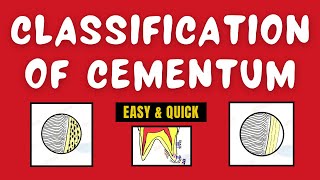 Types of Cementum  Classification of Cementum [upl. by Macilroy46]