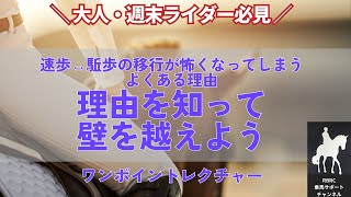 【乗馬】駈歩で怖くなるよくある理由を知って壁を越える為のヒントへ【上達のためのイメージ】 [upl. by Heisser]