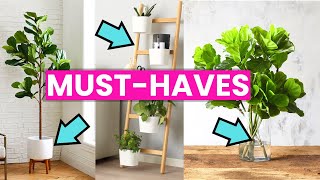 The MUSTHAVE IKEA Products for your Fiddle Leaf Fig [upl. by Emil]