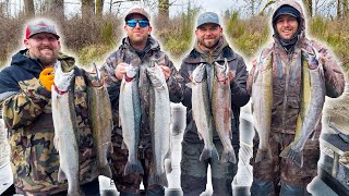 INSANE DAY OF STEELHEAD FISHING [upl. by Beera]