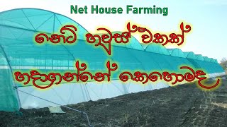 How to Build a Net House in Sinhala  Net Farming in Sinhala  Poly tunnel in Sinhala [upl. by Dov359]