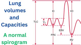 Pulmonary Function Tests Lung Volumes Capacities and the Normal Spirogram [upl. by Aryamoy]