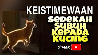 KEISTIMEWAAN SEDEKAH SUBUH KEPADA KUCING [upl. by Syla352]