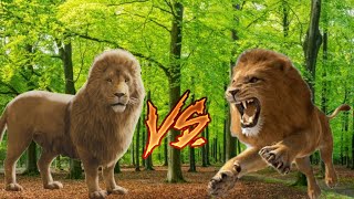 aslan vs nemean lion [upl. by Atila]