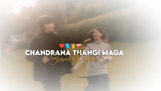 Chandrana thangi maga kannada lofi song slowed reverb lofi slowedandreverb music lofisongs [upl. by Sefton]