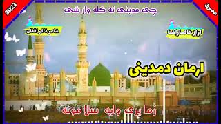 Poshto New HD Naat  Poshto naat  Poshto Nazam  Afghanistan New Tarana  khaksar ashna [upl. by Ylecic]