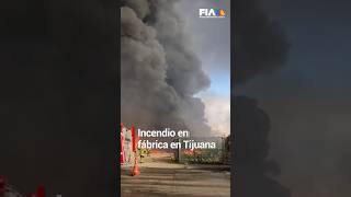 ¡NO BOB ESPONJA  Se incendia fabrica de esponjas en Tijuana desalojan a más de 50 empleados [upl. by Barsky]