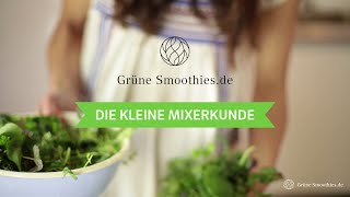 Grüne Smoothie Mixer Worauf es beim Kauf ankommt [upl. by Atsylak606]